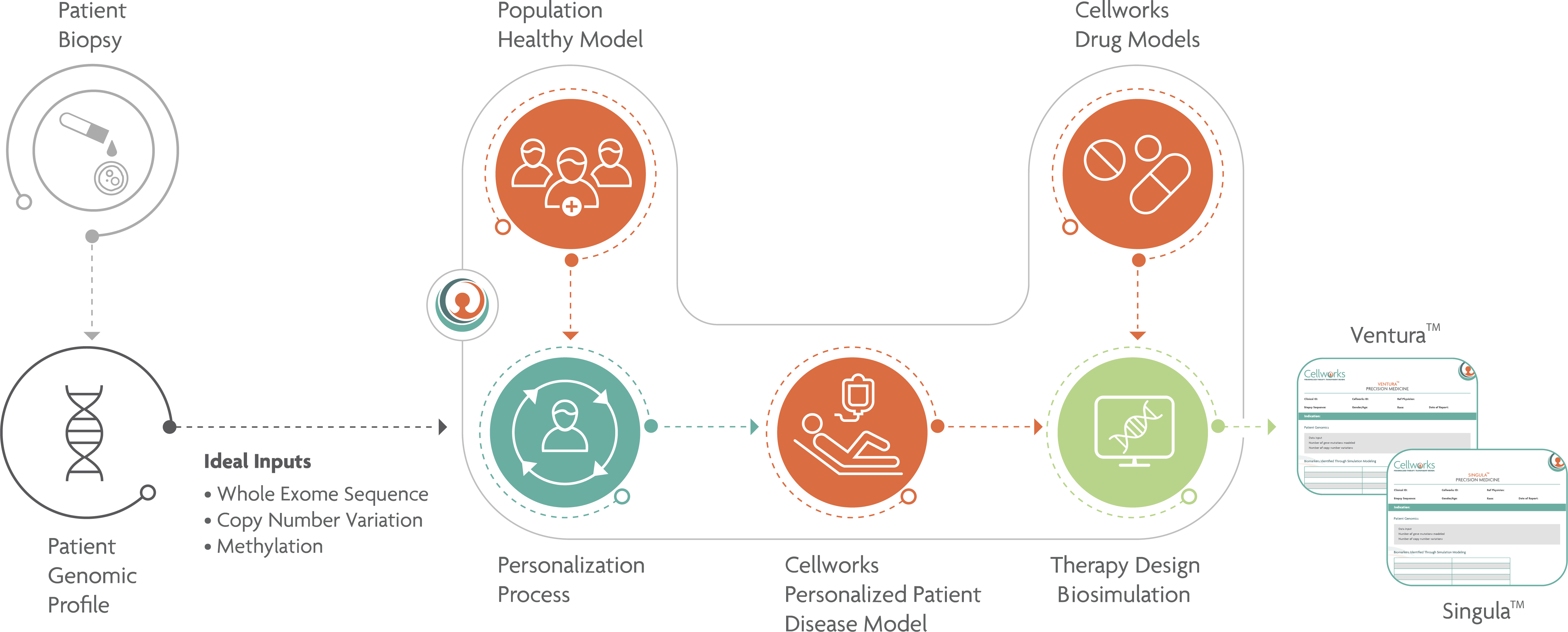 Cellwork Precision Medicine Workflow